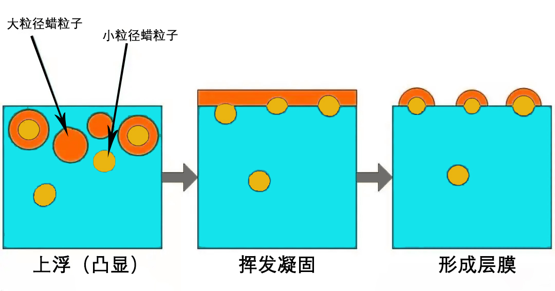 蜡乳液成膜机理.jpg