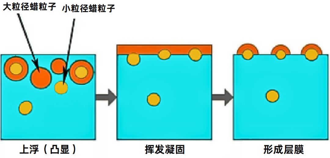 微信图片_20240517161717.png